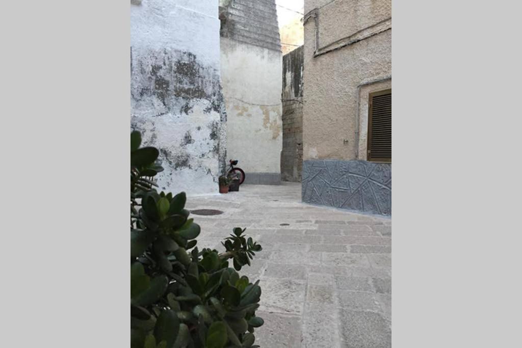 Historic Apartment In Centre Of City 100M To Sea Monopoli Exteriér fotografie